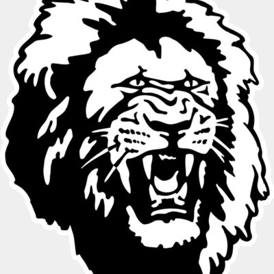 Lion Head2 Thumbnail