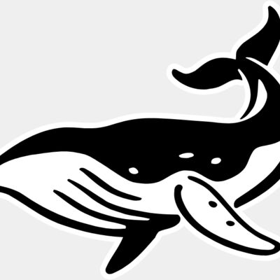 whale Thumbnail
