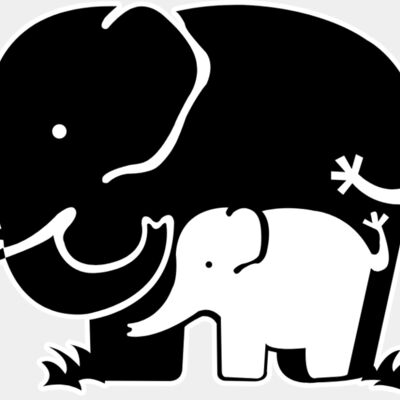 Elephant Family Thumbnail