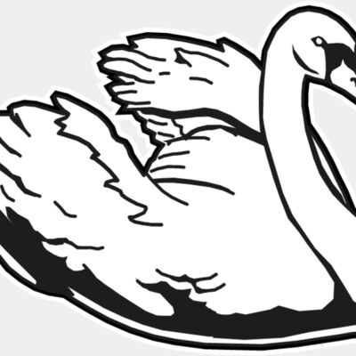 swan Thumbnail