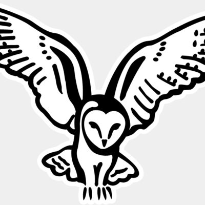 owl Thumbnail