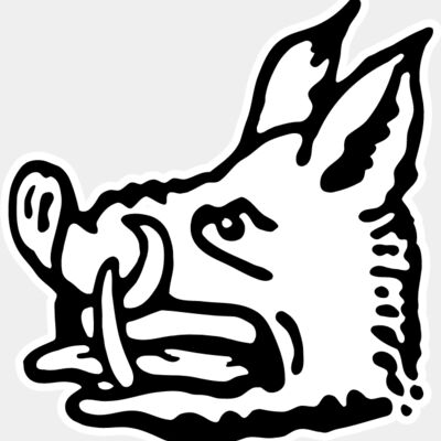 boar Thumbnail