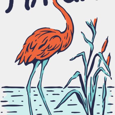 Flamingo Beauty Thumbnail