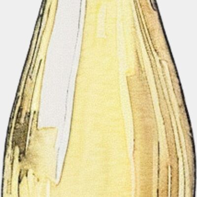 Pinot Grigio 2 Thumbnail