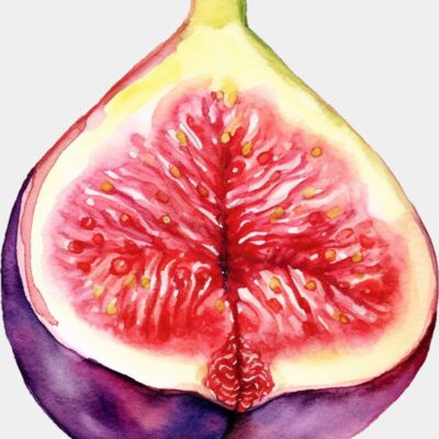Fruit    Fig Thumbnail