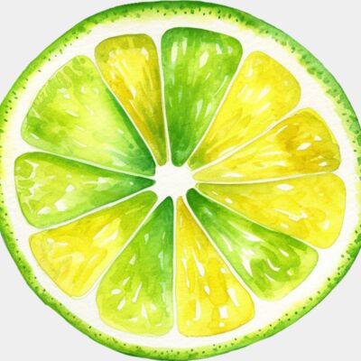 Fruit   Lime Slice  2  Thumbnail