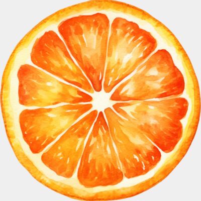 Fruit   Orange Slice  1  Thumbnail