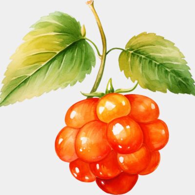 Cloudberry Thumbnail