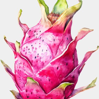Dragonfruit Thumbnail