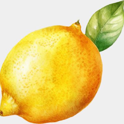 Lemon 1 Thumbnail