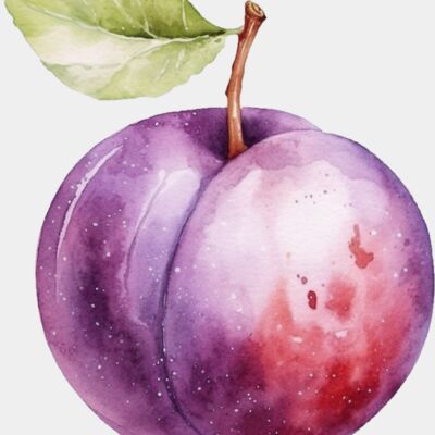Plum Thumbnail