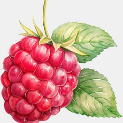 Raspberry Thumbnail