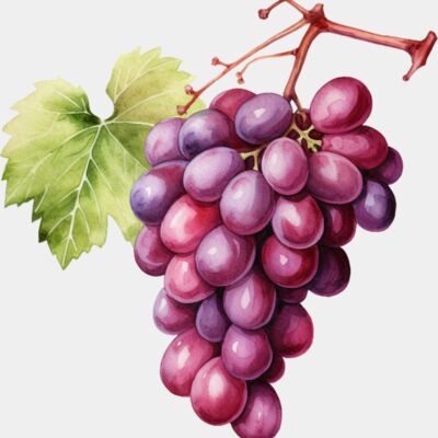 Red Grape Thumbnail