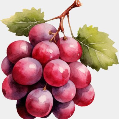 Red Grapes Thumbnail