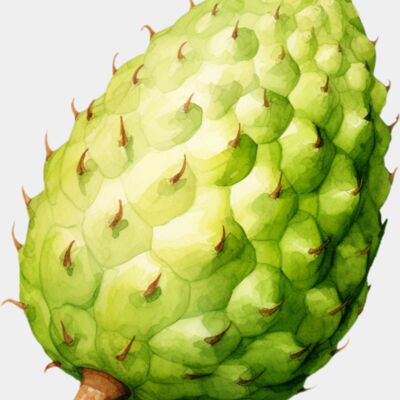 Soursop Thumbnail