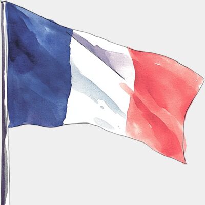 french flag Thumbnail