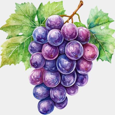 grapes  1  Thumbnail