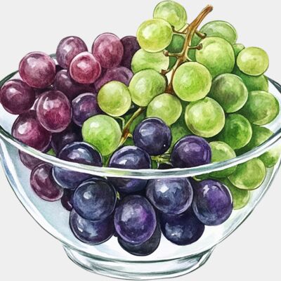 grapes  3  Thumbnail