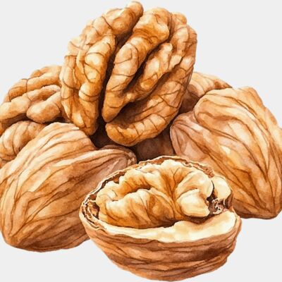 walnuts Thumbnail