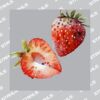 UltraColour Pro 6 x 6cm Heat Transfer Thumbnail