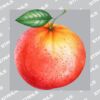UltraColour Pro 6 x 6cm Heat Transfer Thumbnail