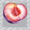 UltraColour Pro 10 x 10cm Heat Transfer Thumbnail