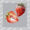 UltraColour Pro 10 x 10cm Heat Transfer Thumbnail