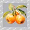 UltraColour Pro 10 x 10cm Heat Transfer Thumbnail