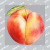 UltraColour Pro 10 x 10cm Heat Transfer Thumbnail
