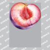 UltraColour Pro A8 Heat Transfer Thumbnail