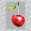 UltraColour Pro A8 Heat Transfer Thumbnail