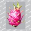 UltraColour Pro A8 Heat Transfer Thumbnail