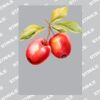 UltraColour Pro A8 Heat Transfer Thumbnail