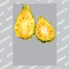 UltraColour Pro A8 Heat Transfer Thumbnail