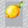 UltraColour Pro A8 Heat Transfer Thumbnail
