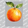 UltraColour Pro A8 Heat Transfer Thumbnail