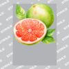 UltraColour Pro A8 Heat Transfer Thumbnail