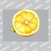 UltraColour Pro A7 Heat Transfer Thumbnail