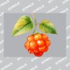UltraColour Pro A7 Heat Transfer Thumbnail