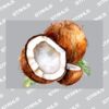 UltraColour Pro A7 Heat Transfer Thumbnail