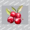 UltraColour Pro A7 Heat Transfer Thumbnail