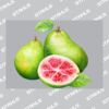 UltraColour Pro A7 Heat Transfer Thumbnail