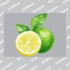 UltraColour Pro A7 Heat Transfer Thumbnail