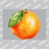 UltraColour Pro A7 Heat Transfer Thumbnail