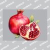 UltraColour Pro A7 Heat Transfer Thumbnail