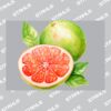 UltraColour Pro A7 Heat Transfer Thumbnail