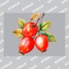 UltraColour Pro A7 Heat Transfer Thumbnail