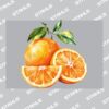 UltraColour Pro A7 Heat Transfer Thumbnail