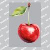 UltraColour Pro A6 Heat Transfer Thumbnail