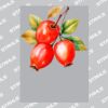 UltraColour Pro A6 Heat Transfer Thumbnail